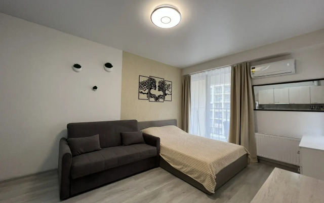 Квартира Студия с современным ремонтом 217к2