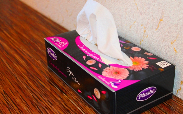 Апартаменты Black Sea