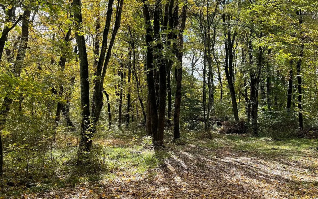 Частный Дом Sova House