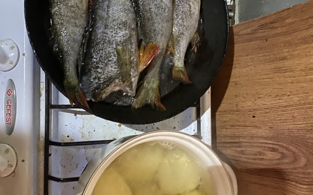 База Отдыха На Рыбалку