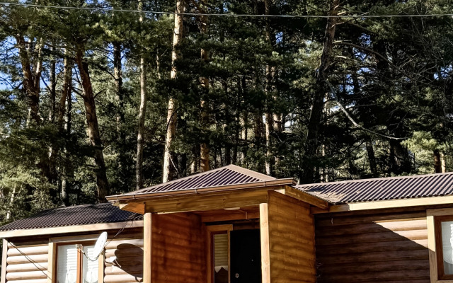 Гостевой дом Кавказ