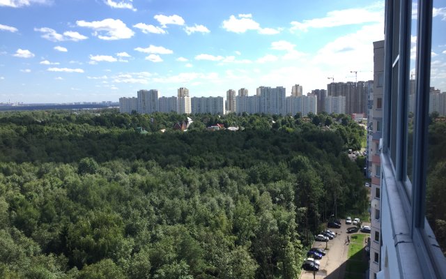 Kutuzova U Lesa Apartments