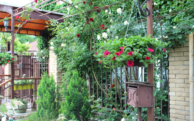 U Druzej Guest House