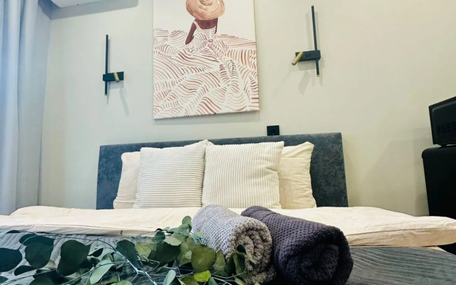 Апартаменты Просторная Студия в Сердце Ярославля