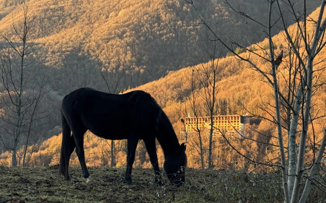Апартаменты Панорама Парк Красная Поляна