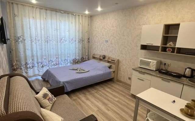 Квартира студия Аэропорт