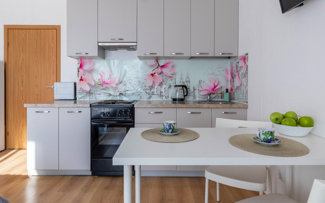 Квартира Живи в Песочном Студия Садовая 88