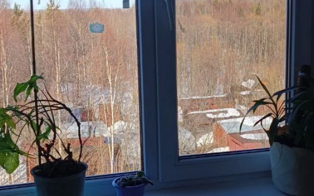 Квартира Счастливая Матрешка Двушка на Исакогорке