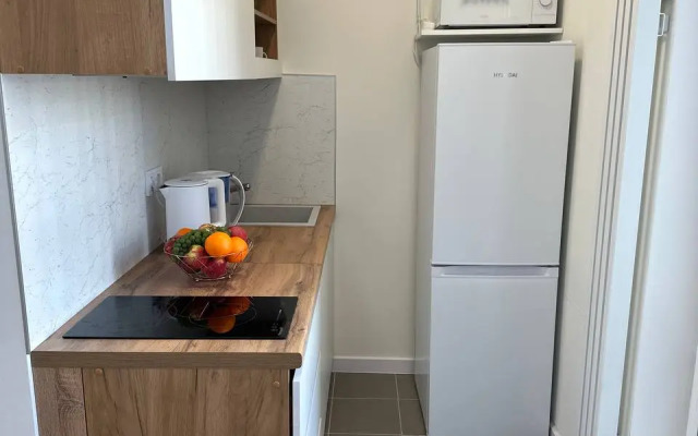 Studiya V Zhzh Prokshino Flat