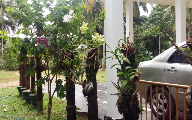 Wasaba Jayasekera Guest House