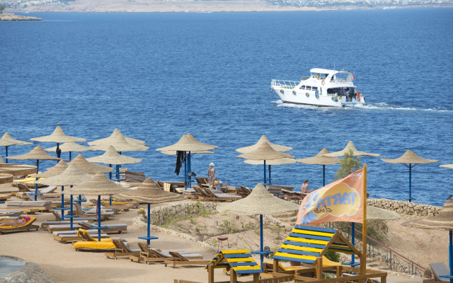 Amphoras Blu
