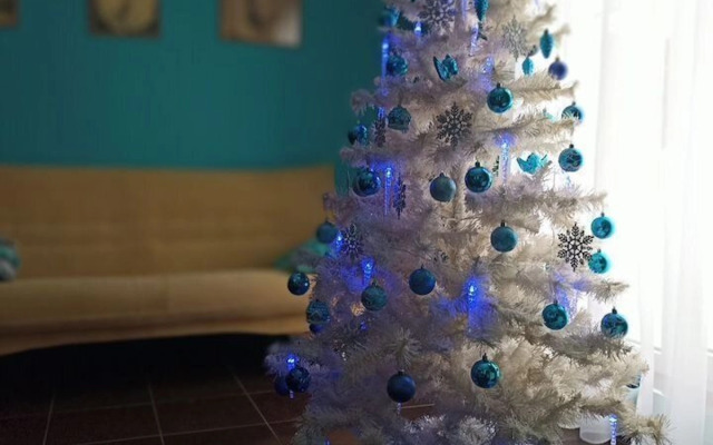 Частный дом Праздник и отдых