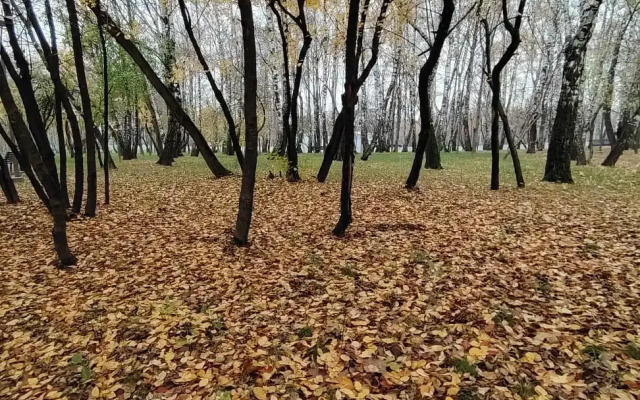 Квартира Уютная Атмосфера на Юге Москвы