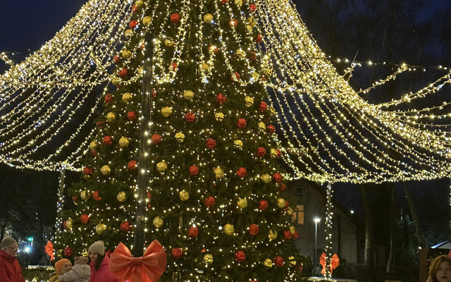 Апартаменты Уютные апартаменты у моря