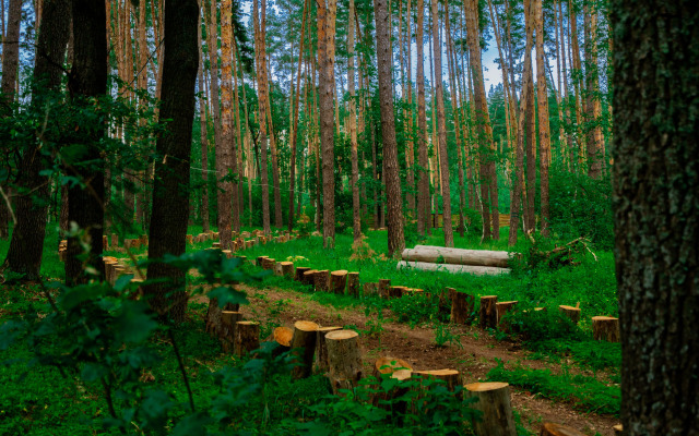 Paporotnik Recreation camp