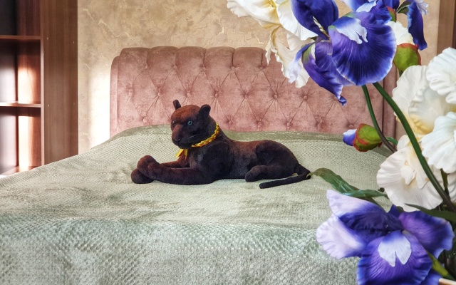 Апартаменты "Багира" рядом Протон-Арена, бассейн ДВВС, СКАД, въезд в город, Р228