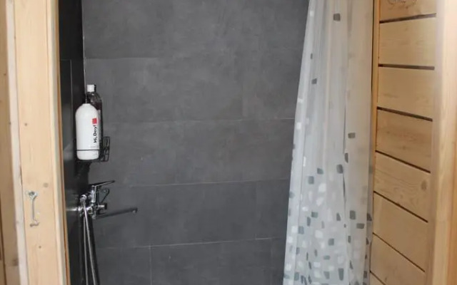 Частный дом в берёзовой роще