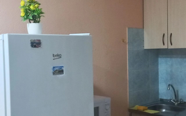 Квартира вместительная в центре набережная реки Енисей