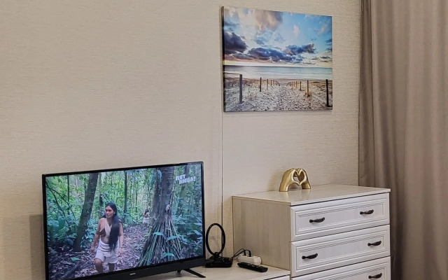 V Tsentre Ribnaya Derevnya U Kanta Apartments