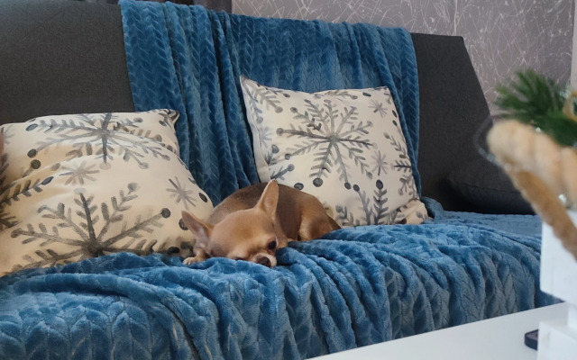 Квартира Уютная в центре города