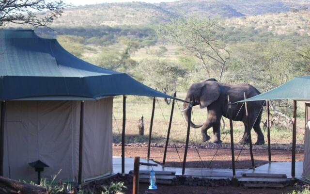 Ole Serai Luxury Camp Hotel