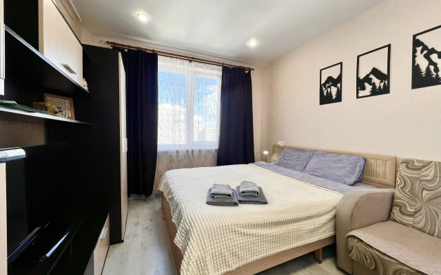 Апартаменты 51 с Шикарным Видом Сканди на Старостина, 33