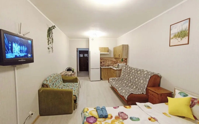 Квартира Свободная студия