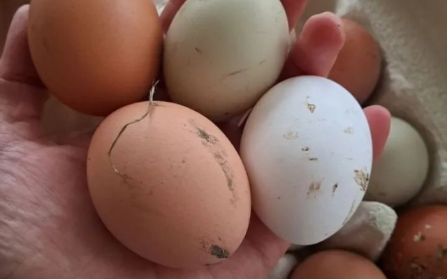 Частный Дом на Учаcткe 61 Соткa