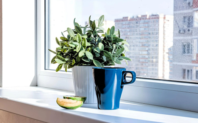 Апартаменты Семьям и Командированным