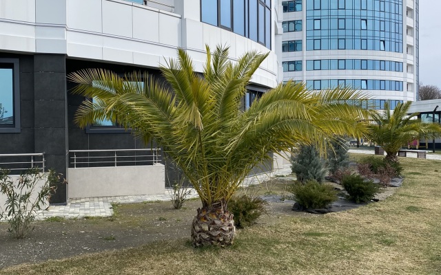 Apartamenty Lyuks Morskaya Dal Flat