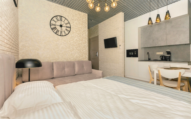 Апартаменты Пушкин г.Краснодар 1