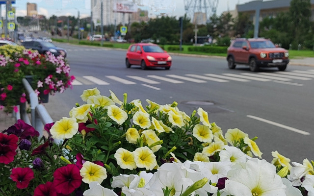 V Tsentre Goroda Flat