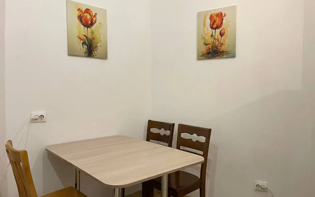 Yevrodvushka v tsentre Ulan-Ude Flat