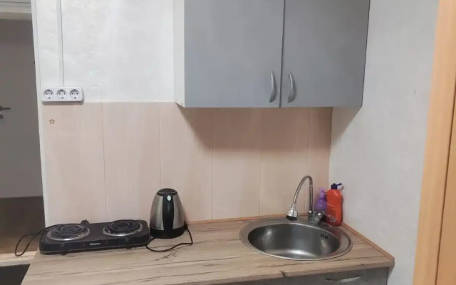 Апартаменты Просторная студия г.Раменское