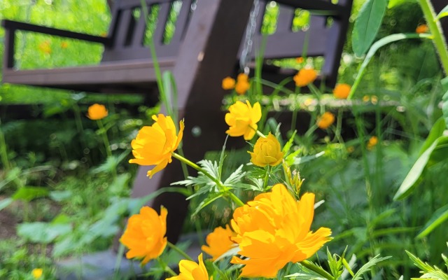 Частный дом Ирбис 3