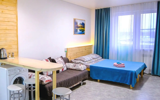 Квартира Большая студия с видом на двор