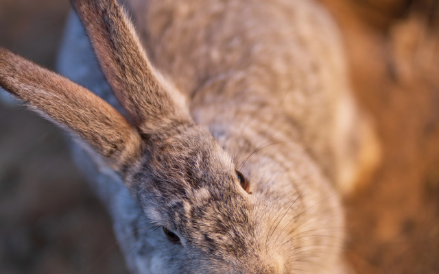 Отель Комплекc Загородного отдыха  Место 7