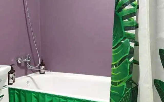 Flat Uyutnaya Studiya V Solnechnom