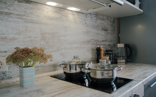 Апартаменты Argentum Home Дудинская 2