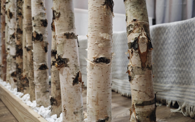 Квартира Уютная квартира у Красного Поля