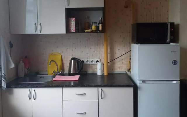 Studiya V Tsentre Flat