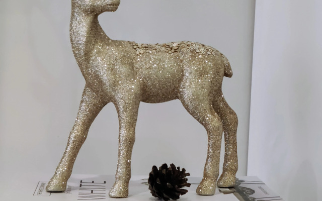 Квартира на улице Широкая 33