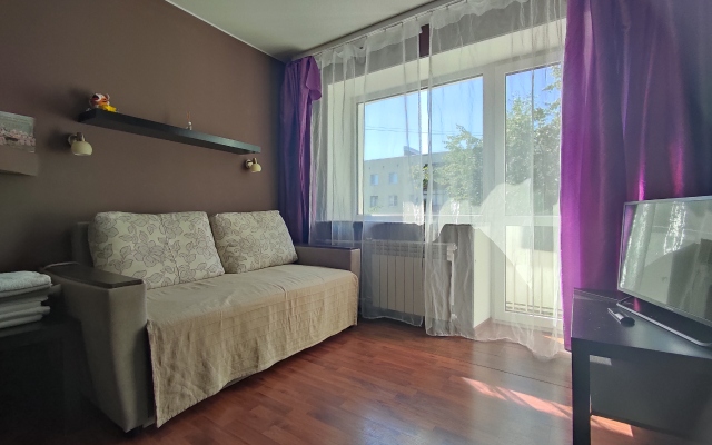 Kvartiranov Na Tihvinskoy Apartments