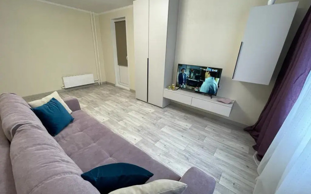 Квартира уютная на Академика Волгина