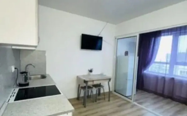 Апартаменты на Челюскинцев, 80В