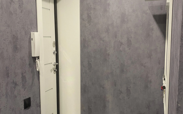 2-Kh Komnatnaya Kvartira V Samom Tsentre,45 M2 Flat
