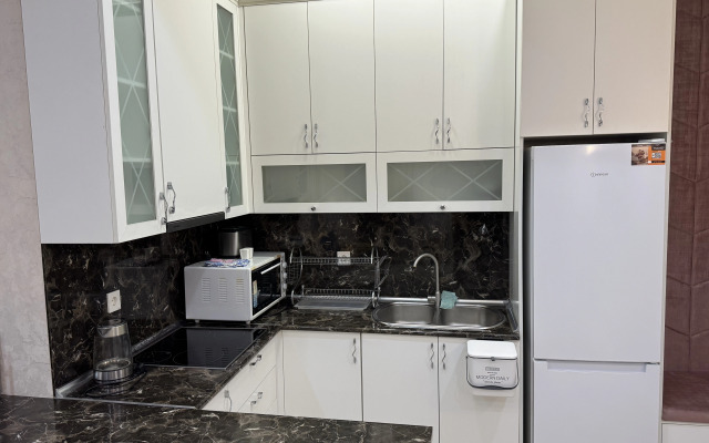V Tsentre Baku Flat