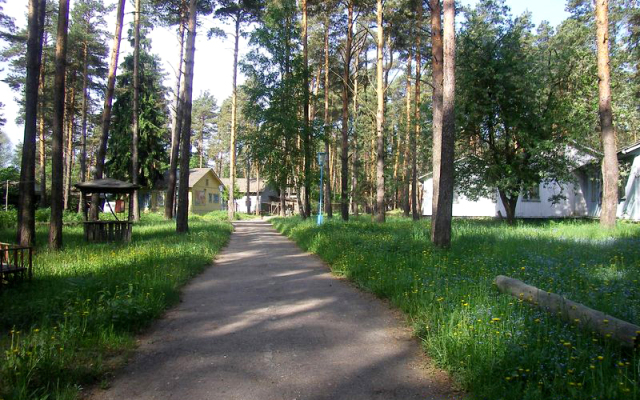 База Отдыха Жёлтая Гора