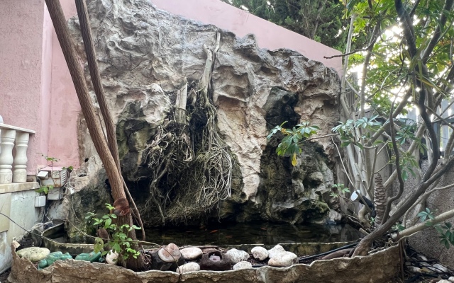 Villa Diana Guest House