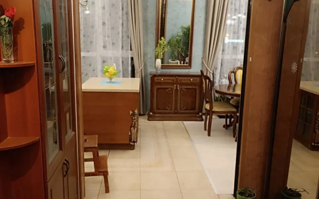 Uyutnaya dvukhkomnatnaya s konditsionerom Ermitazh Flat